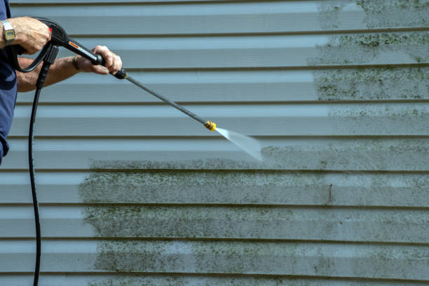 Best House Exterior Washing  in South Wallins, KY